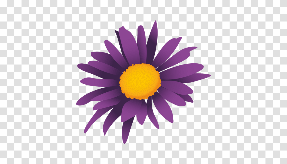 Purple Sunflower Cartoon, Plant, Daisy, Daisies, Blossom Transparent Png