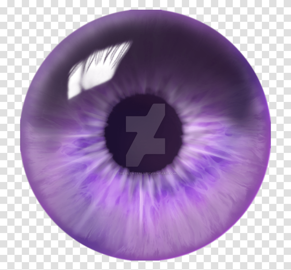 Purple Swirl Eye Finished Silver Eye, Balloon, Bowling, Sphere, Photography Transparent Png