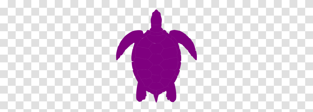 Purple Turtle Clipart Clip Art Images, Silhouette, Person, Human, Outdoors Transparent Png
