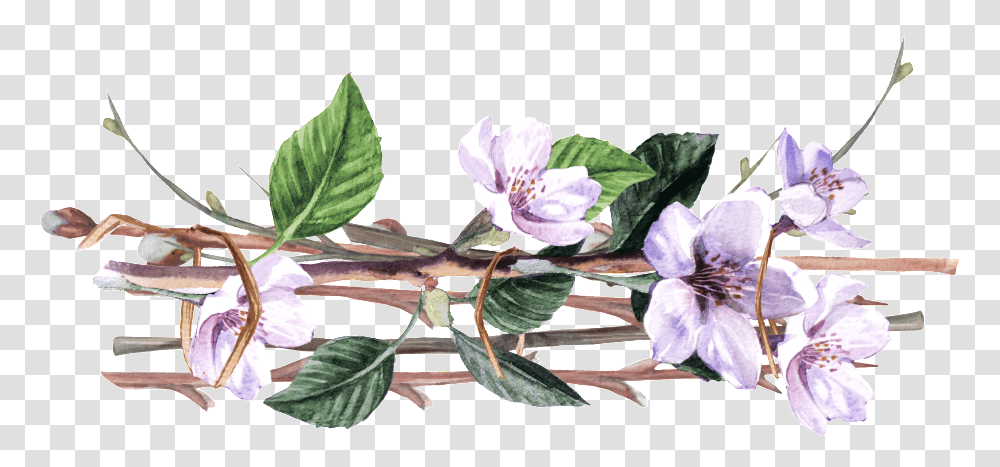 Purple Vine Man Flower Cartoon This Backgrounds Purple Flower Vines, Plant, Acanthaceae, Leaf, Petal Transparent Png