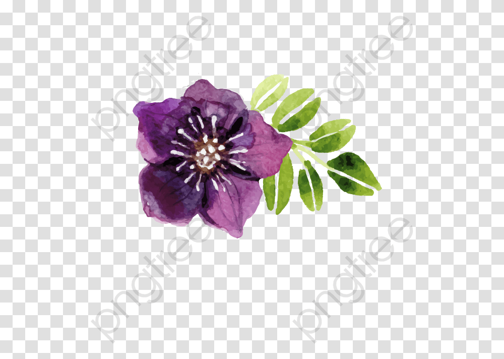 Purple Watercolor Flowers Watercolor Flower Purple Vector Watercolor Purple Flower, Plant, Floral Design, Pattern Transparent Png