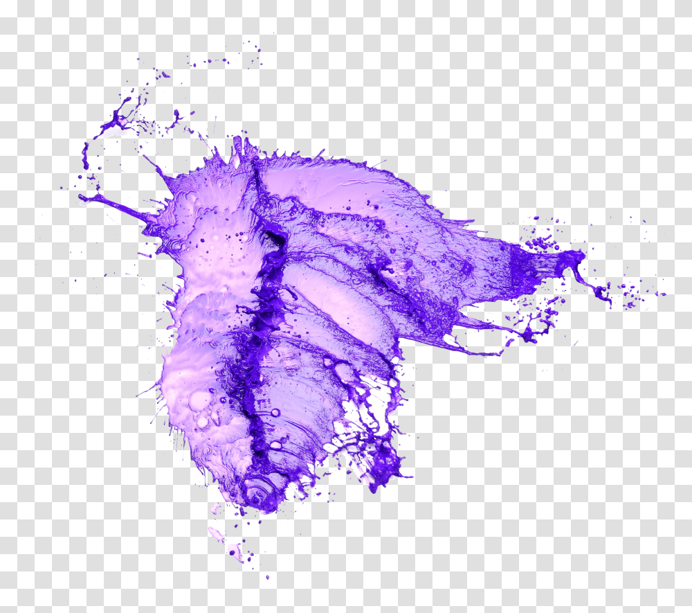 Purple Watercolor Splash Purple Water Splash, Sea Life, Animal, Jellyfish, Invertebrate Transparent Png