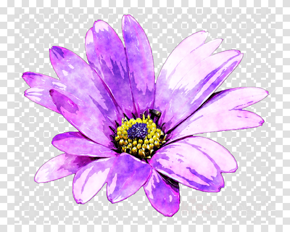 Purple Watercolour Flowers, Plant, Honey Bee, Insect, Invertebrate Transparent Png