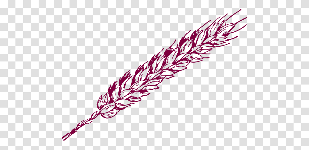 Purple Wheat Clip Art, Grass, Plant, Potted Plant, Vase Transparent Png