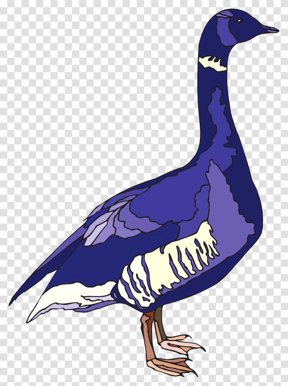 Purple Wings, Animal, Goose, Bird, Waterfowl Transparent Png