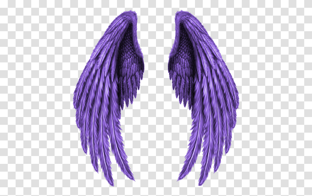 Purple Wings, Apparel, Accessories, Accessory Transparent Png