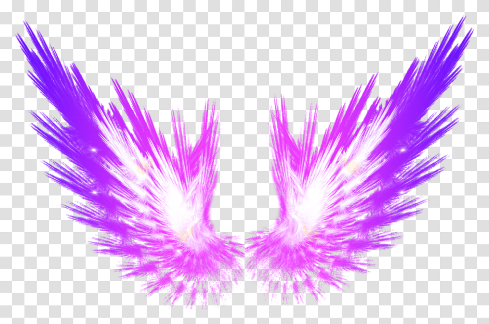 Purple Wings, Apparel, Feather Boa, Scarf Transparent Png