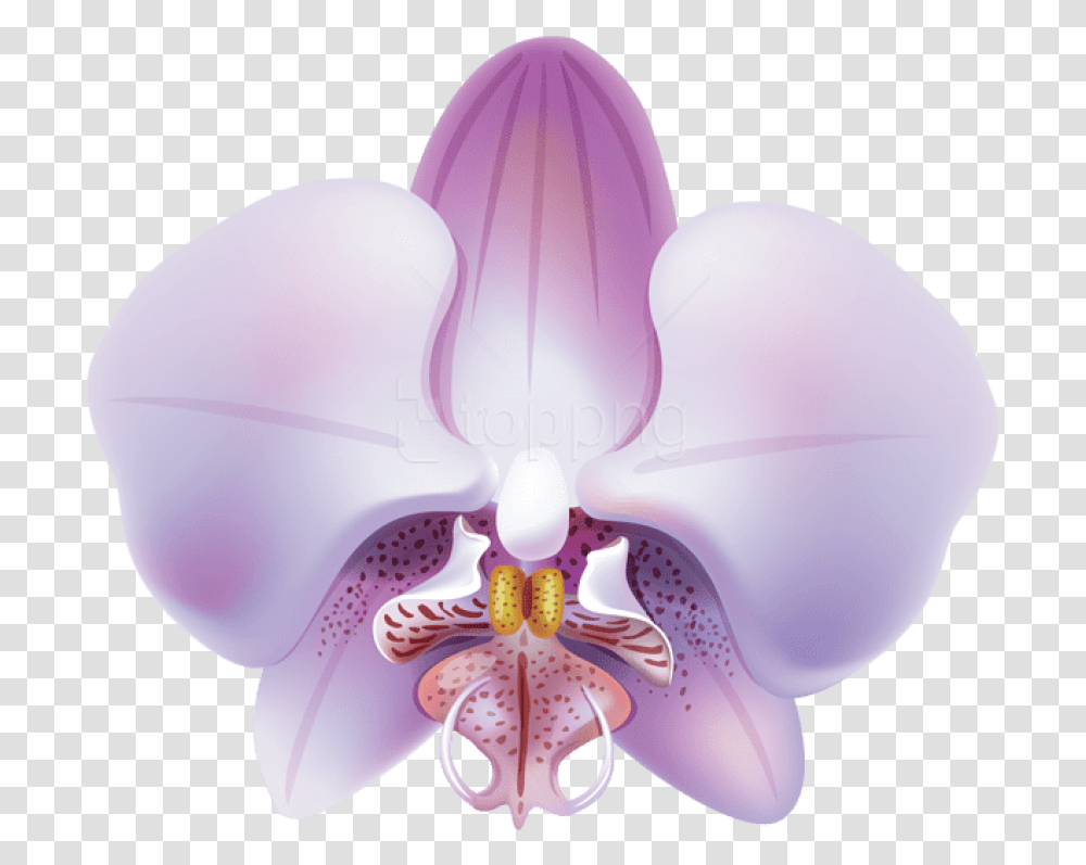 Purplevioletmoth Orchidsymmetryclip Artflowering Orquideas Lilas, Plant, Blossom, Balloon Transparent Png