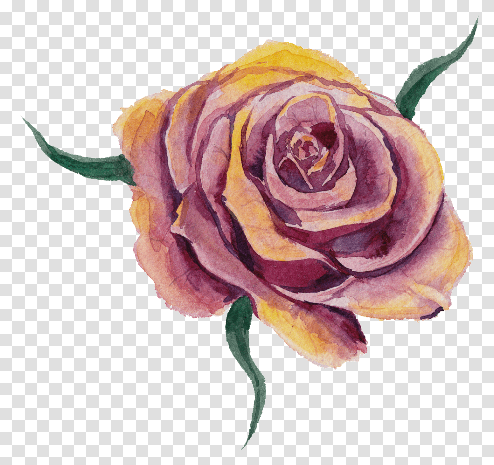 Purplish Yellow Flower Watercolor Flower It's Hard Growing Up Without A Father But Its Easy, Rose, Plant, Blossom, Petal Transparent Png