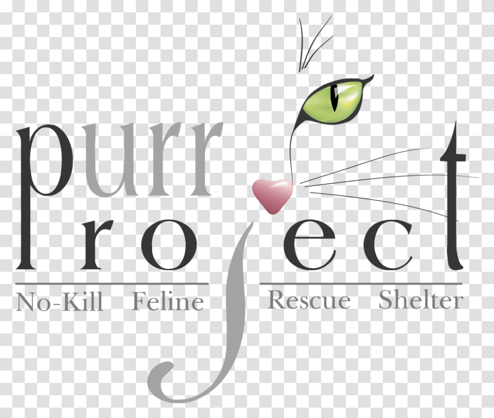 Purr Project Graphic Design, Mammal, Animal, Pet Transparent Png