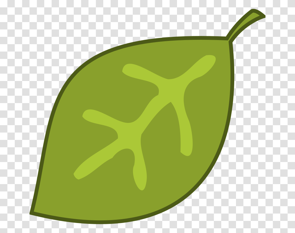 Purzen Leaf, Nature, Plant, Food, Vegetable Transparent Png