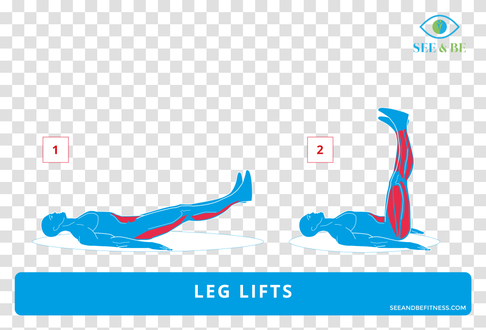 Push Up Rows Muscles, Bird, Animal, Water Transparent Png