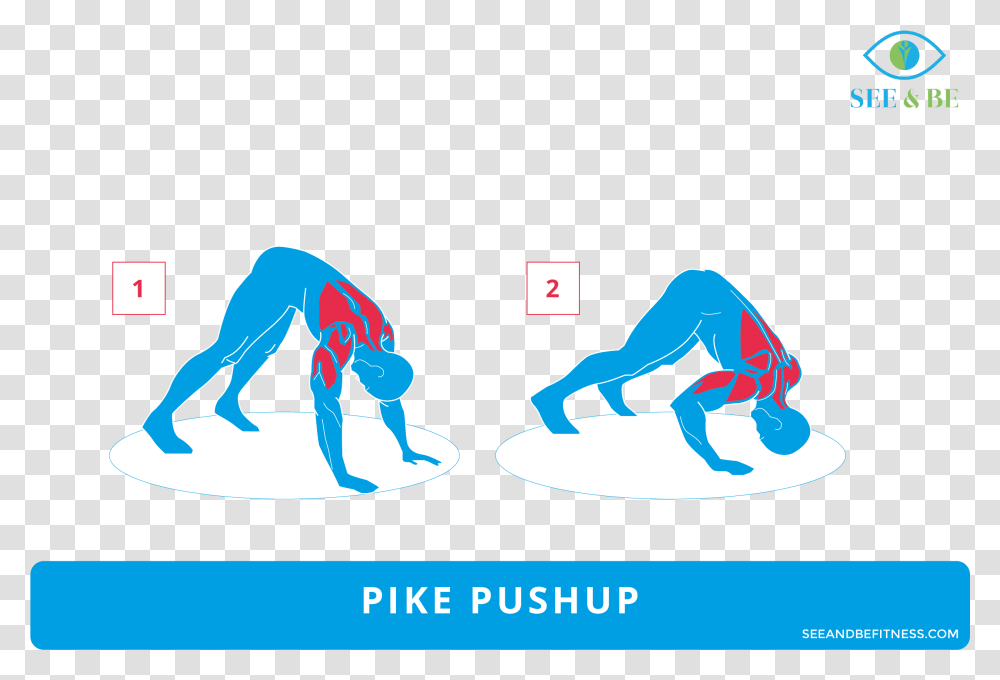 Push Up Rows Muscles, Sport, Working Out, Fitness, Acrobatic Transparent Png