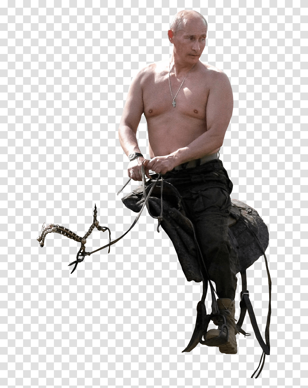 Putin Putin Riding Horse, Person, Human, Skin Transparent Png