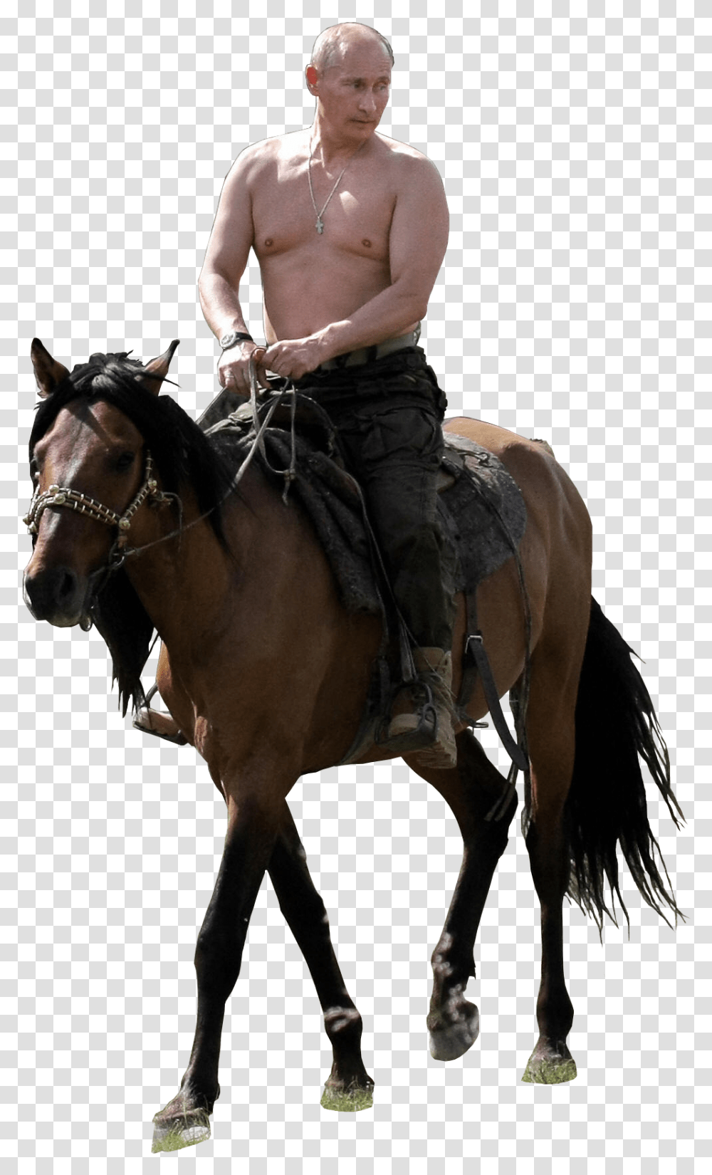 Putin Riding Putin On Horse No Background, Mammal, Animal, Person, Human Transparent Png