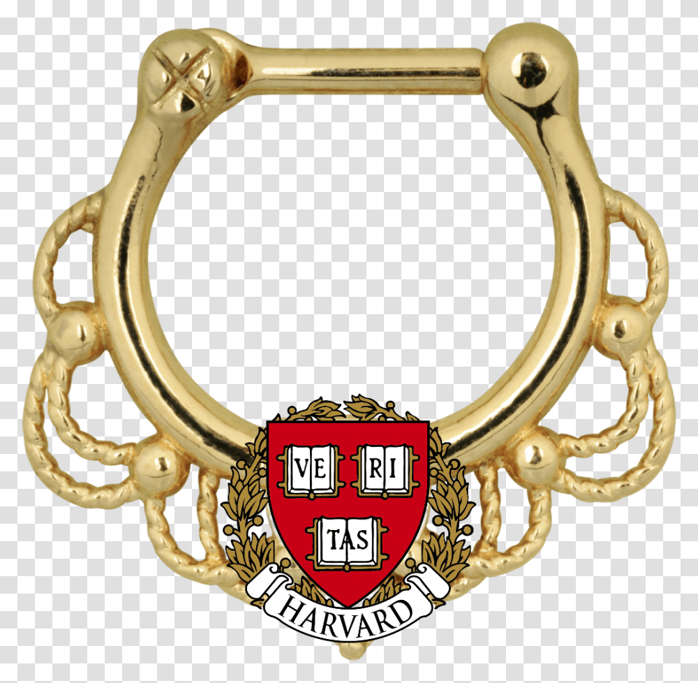 Putting A Ring On It The Harvard Independent, Bracelet, Jewelry, Accessories, Accessory Transparent Png