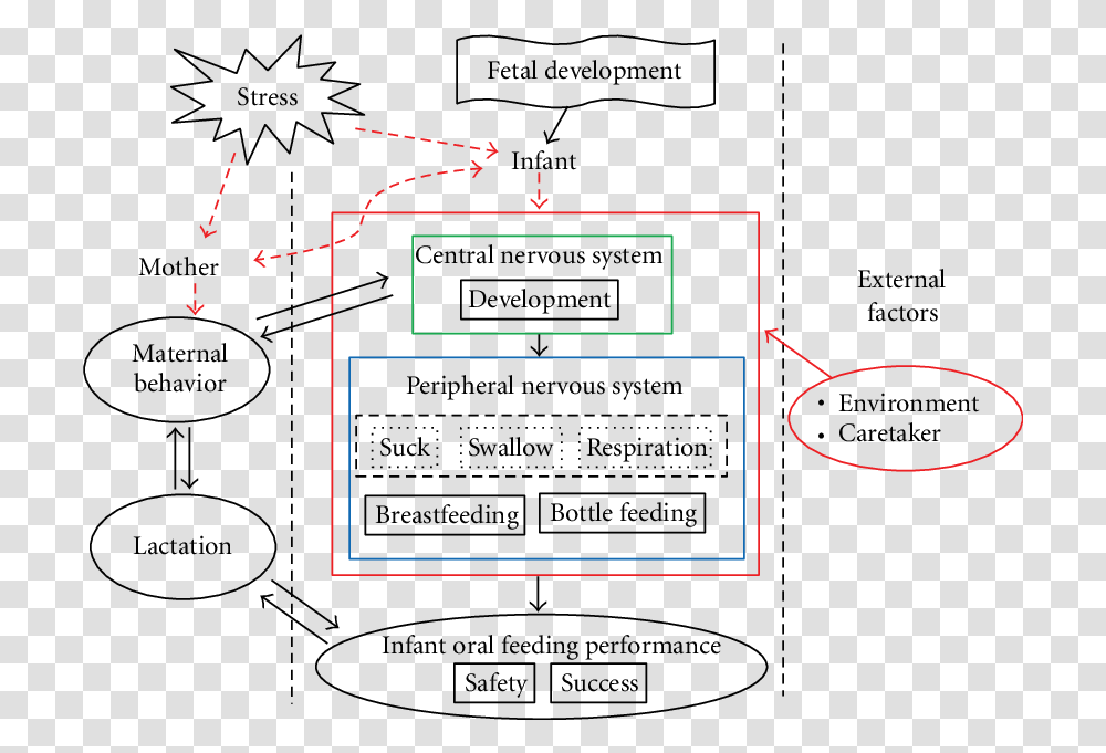 Puzzle, Plot, Blackboard Transparent Png