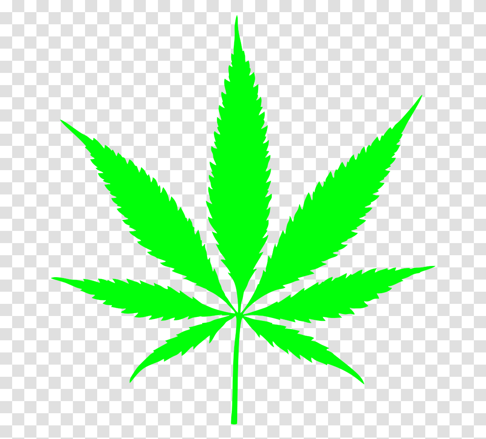 Pxmit Smoking Pot Leaf, Plant, Weed, Hemp Transparent Png