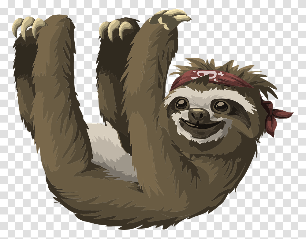 Pygmy Three Toed Sloth Cartoon, Animal, Mammal, Wildlife, Bird Transparent Png