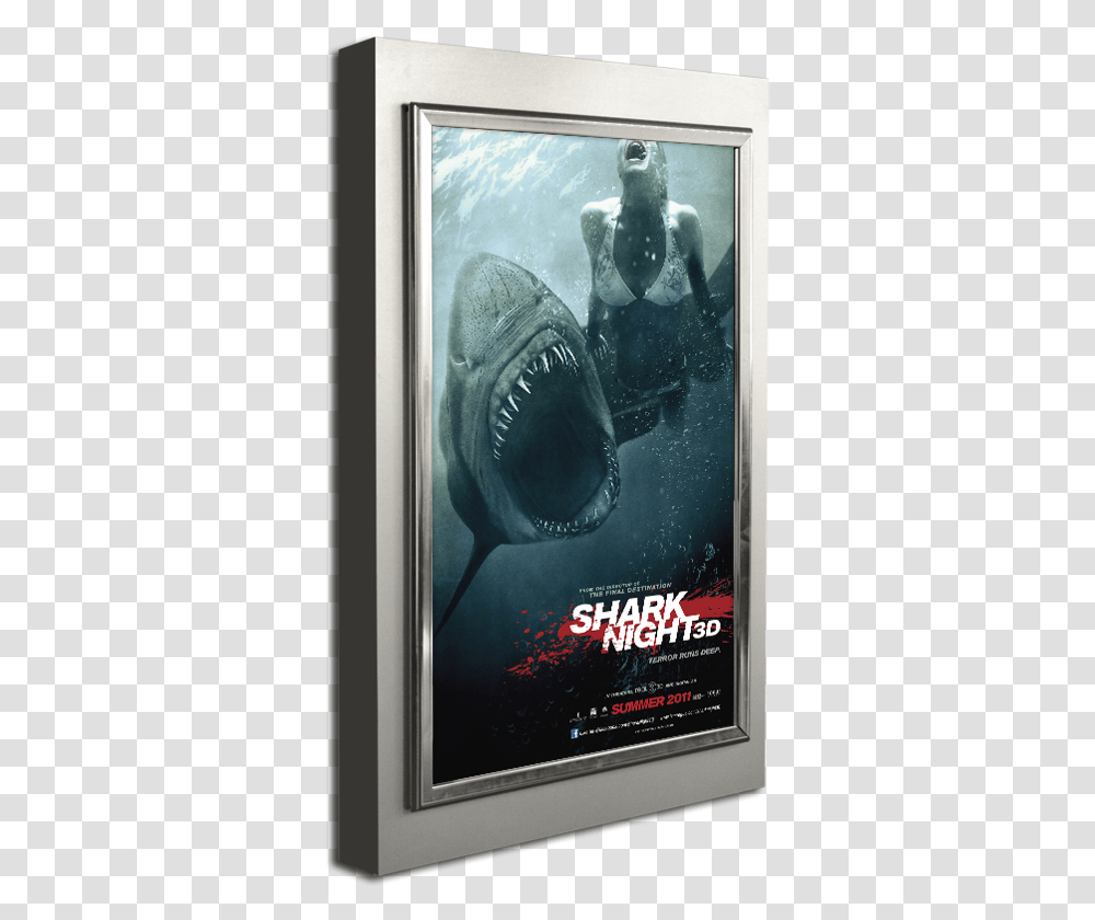 Pylon Series Poster Marquee, Advertisement, Animal, Phone, Electronics Transparent Png