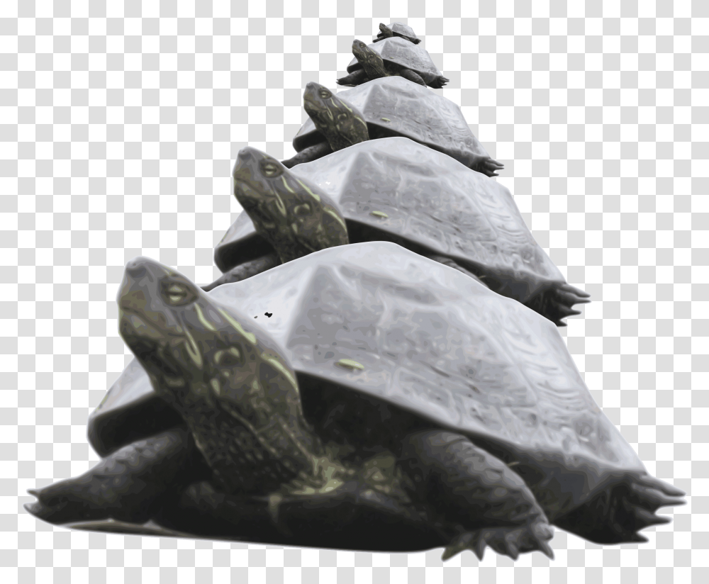 Pyramid Of Turtle Clip Arts Pyramid Of Turtles, Tortoise, Reptile, Sea Life, Animal Transparent Png