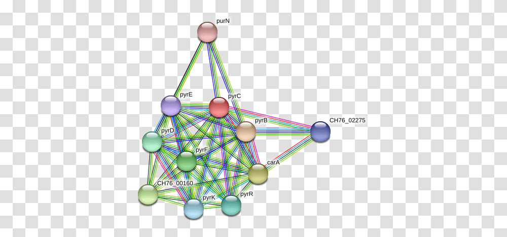 Pyrc Protein Circle, Network, Tree, Plant Transparent Png