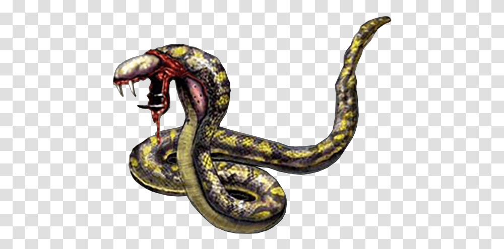Python Snake Image Snake Monster, Reptile, Animal, King Snake Transparent Png