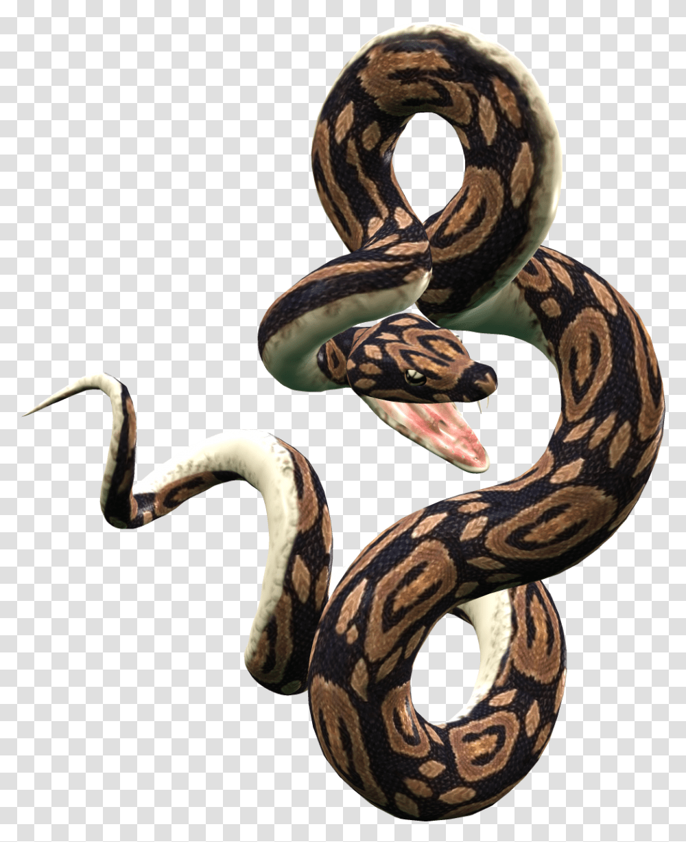 Python Snake Snake, Reptile, Animal, Anaconda, Rock Python Transparent Png