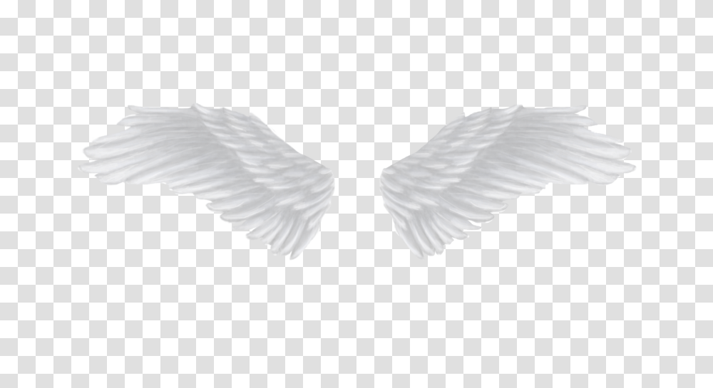 Q, Religion, Bird, Animal, Angel Transparent Png