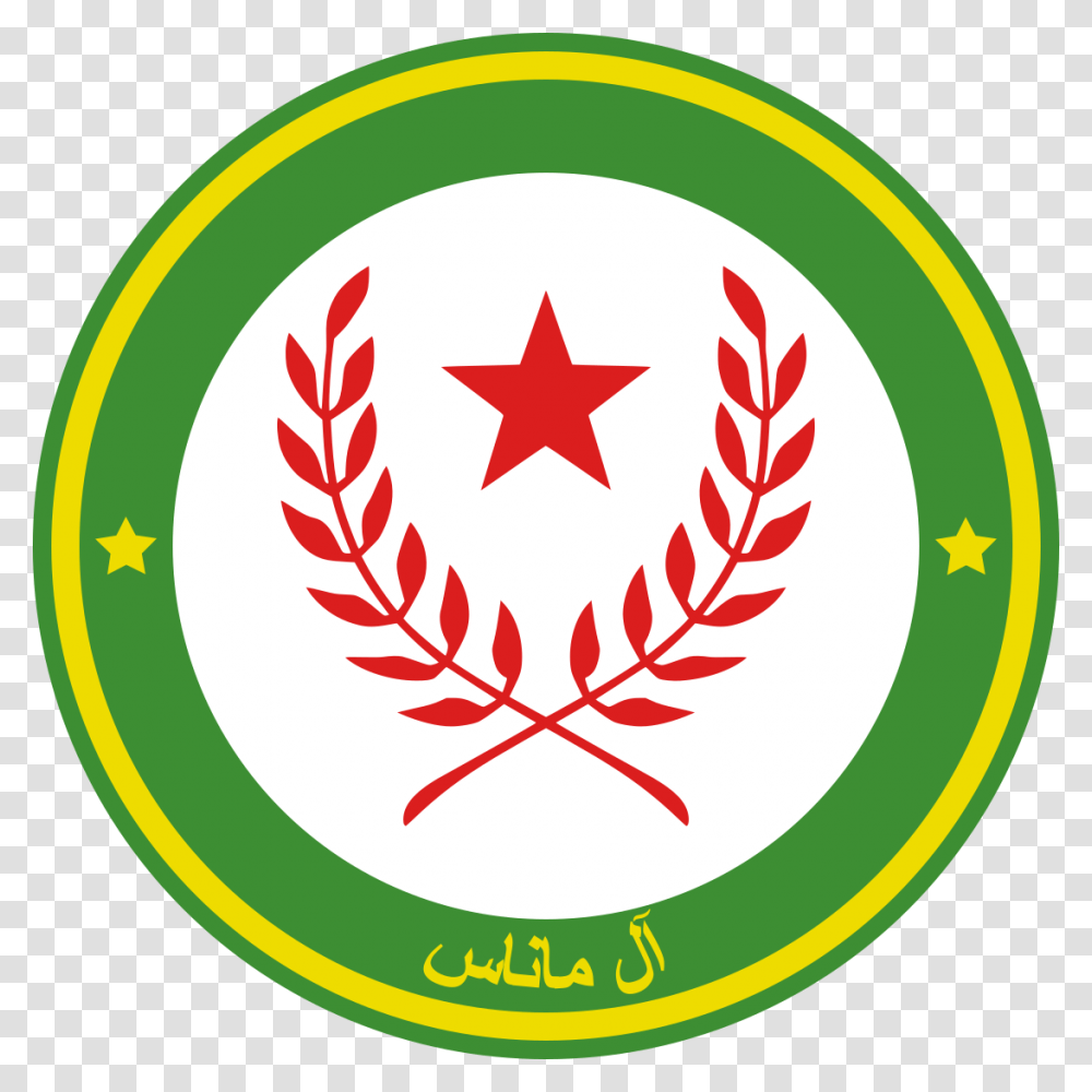 Qau 50 Years, Star Symbol, Logo, Trademark Transparent Png