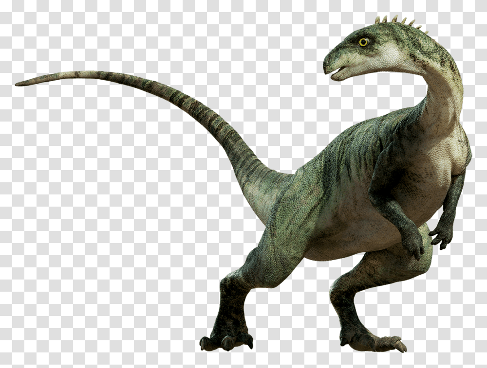 QcEOLMc, Fantasy, Dinosaur, Reptile, Animal Transparent Png