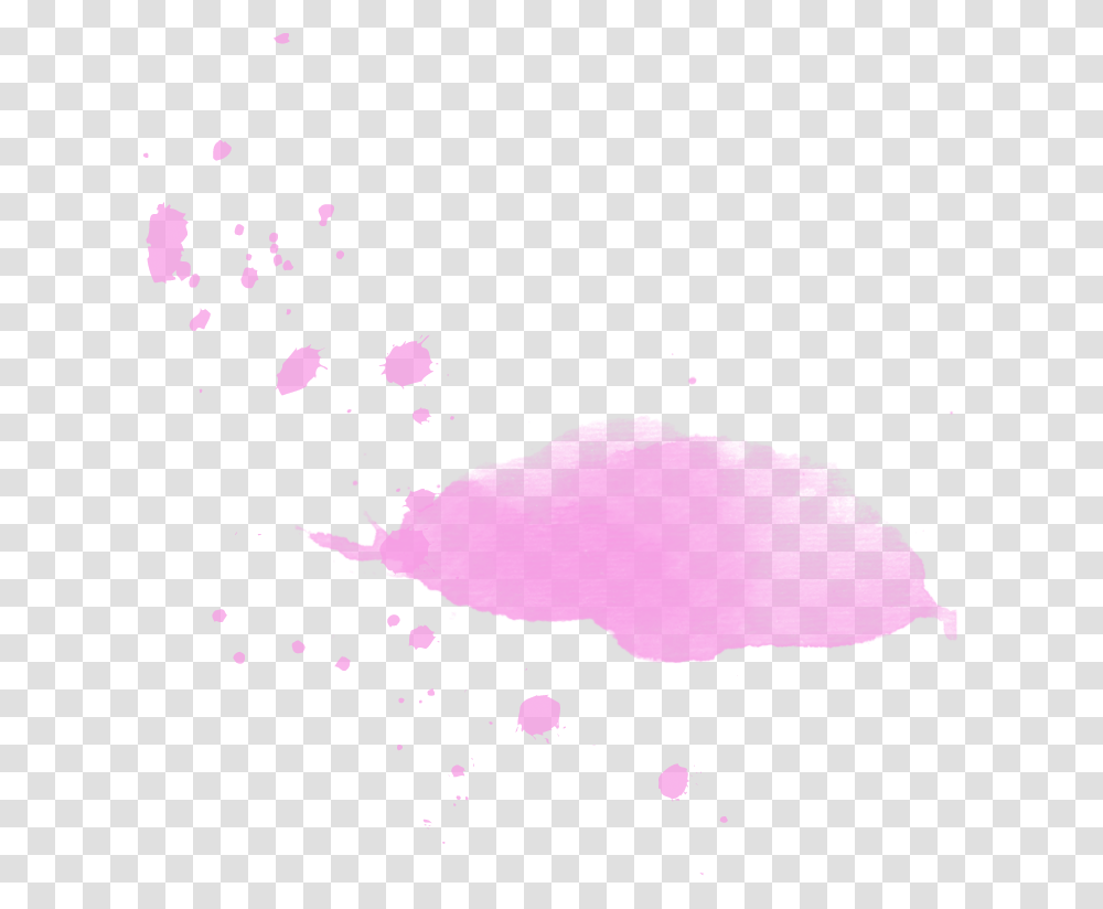 Qq, Outdoors, Petal Transparent Png