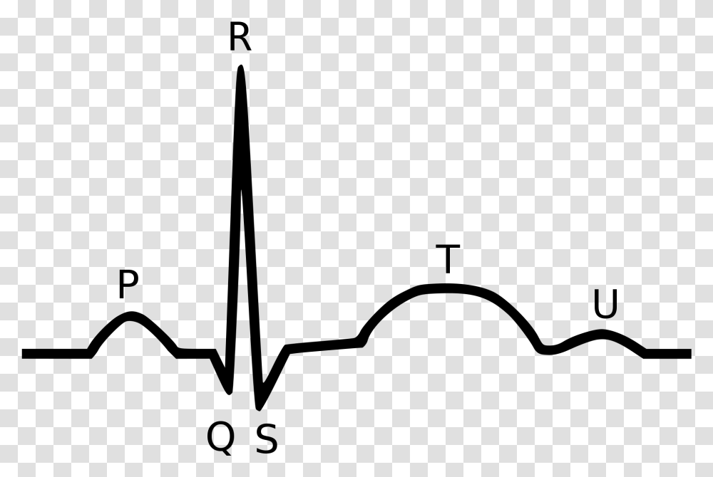 Qrs Complex, Gray, World Of Warcraft Transparent Png