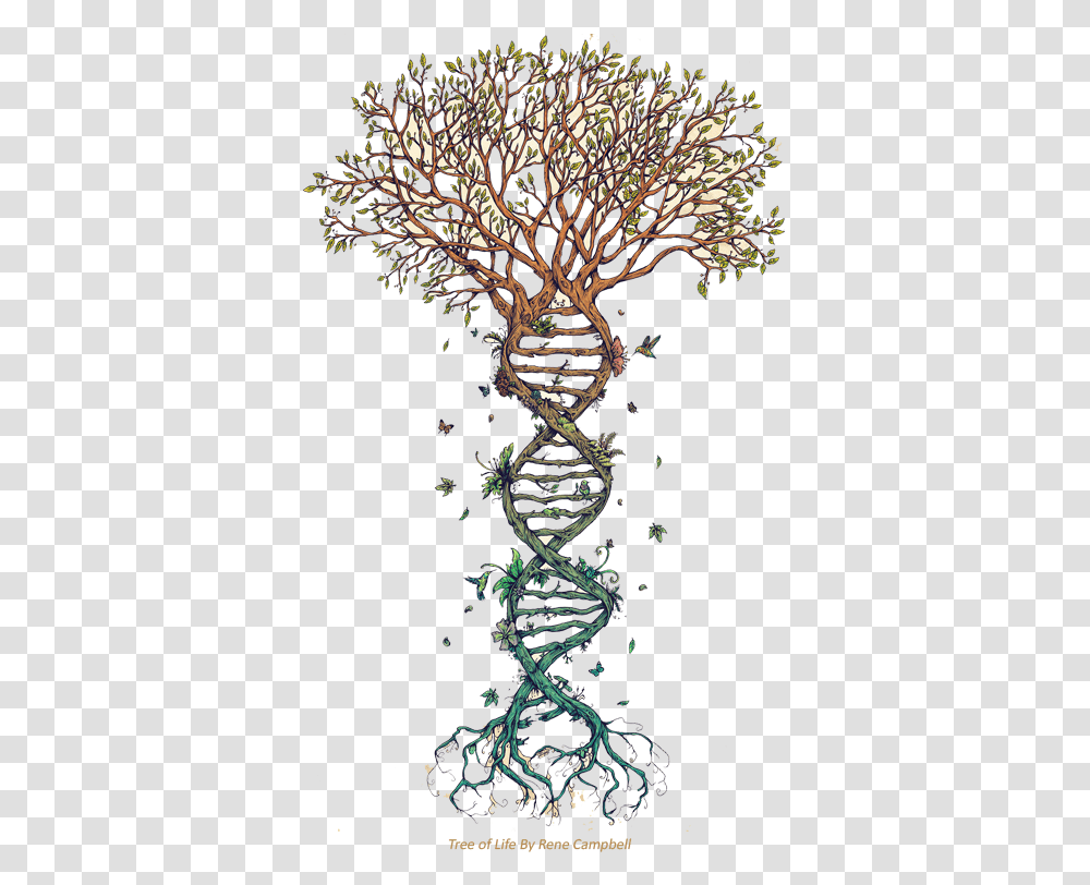 Qu Es Nayana Yoga Tree With Dna Roots, Plant, Floral Design, Pattern Transparent Png