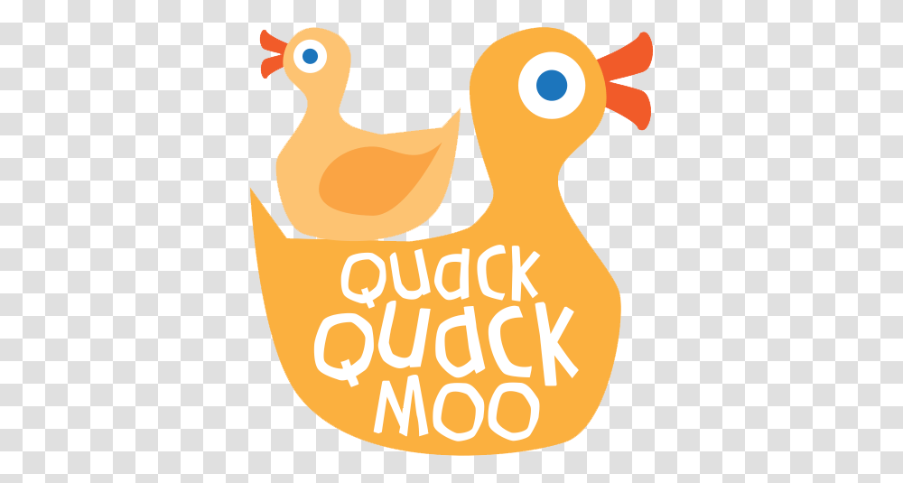 Quack Quack Images, Bird, Animal, Duck, Poultry Transparent Png