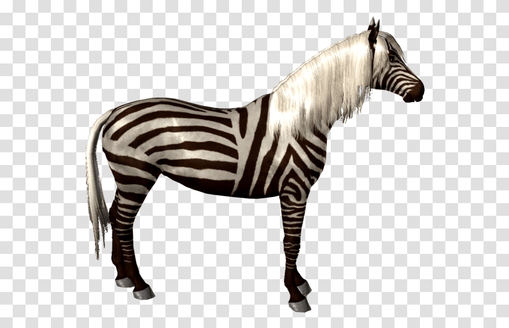 Quagga, Zebra, Wildlife, Mammal, Animal Transparent Png