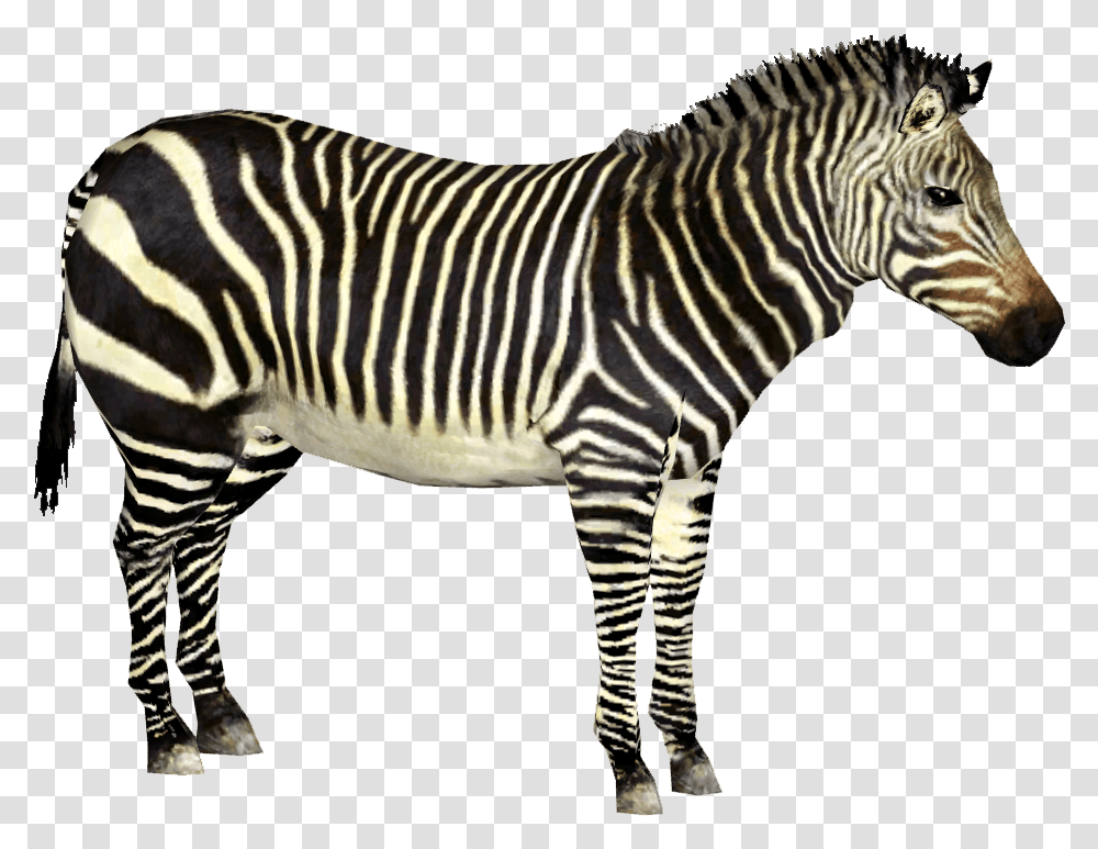 Quagga Zoo Tycoon Zebra, Wildlife, Mammal, Animal Transparent Png