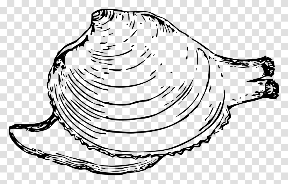 Quahog Clip Art, Gray, World Of Warcraft Transparent Png