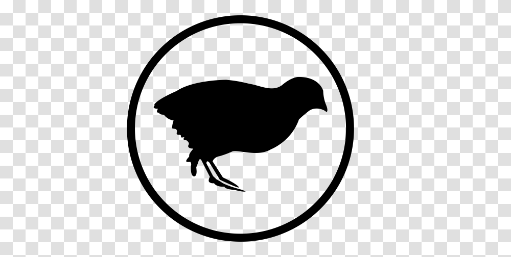 Quail Bush Icon With And Vector Format For Free, Gray, World Of Warcraft Transparent Png