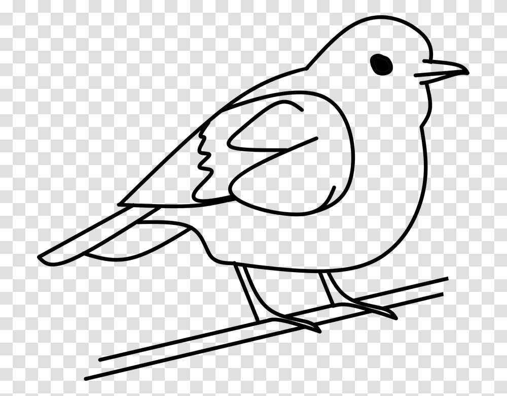 Quail Clip Art Black White, Gray, World Of Warcraft Transparent Png