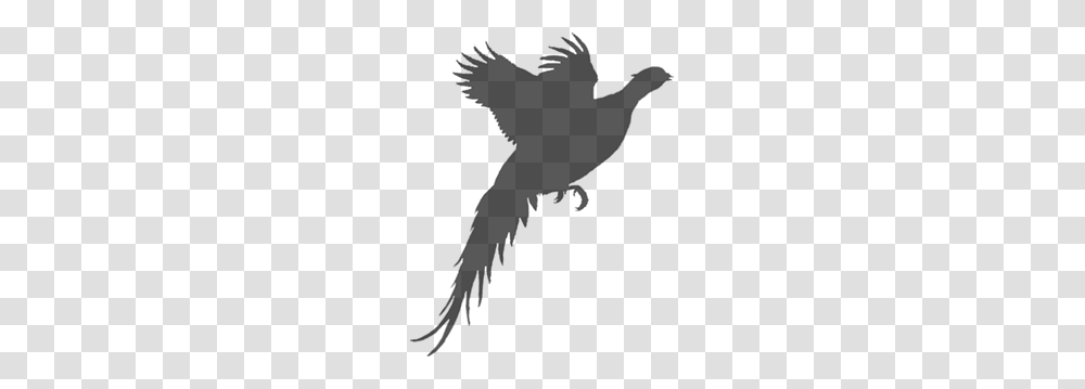 Quail Hunting Clip Art Free Cliparts, Nature, Outdoors, Astronomy, Outer Space Transparent Png