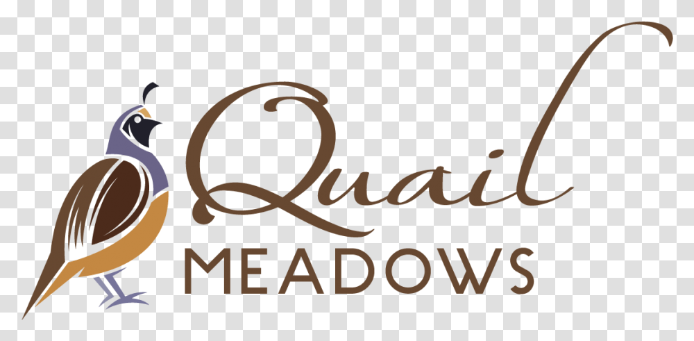 Quail Meadows Calligraphy, Text, Handwriting, Label, Alphabet Transparent Png