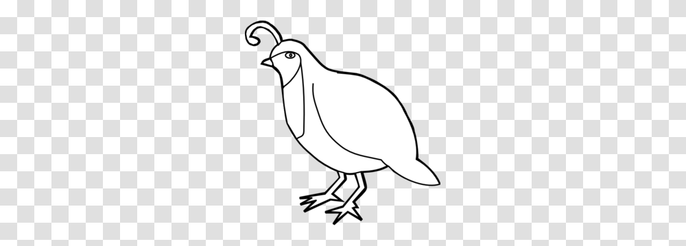 Quail Outline Clip Art, Bird, Animal, Finch Transparent Png