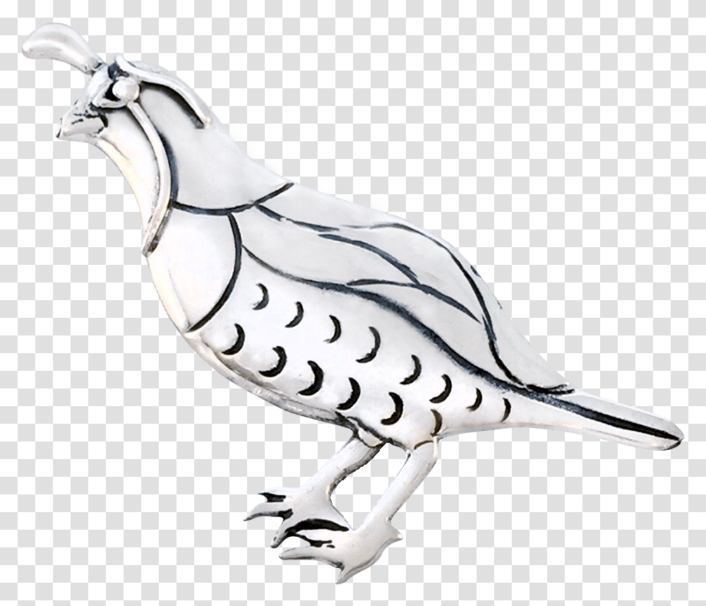 Quail Pin Portable Network Graphics, Animal, Bird, Art, Vulture Transparent Png