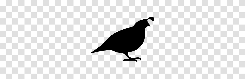 Quail Silhouette For Some Reason The Quail Has Always Reminded, Bird, Animal, Stencil Transparent Png