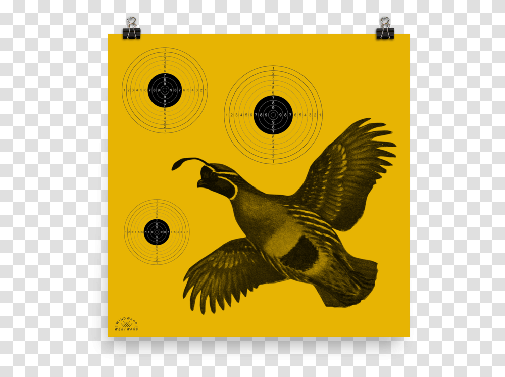 Quail Target Quail Target, Bird, Animal, Penguin, Flying Transparent Png