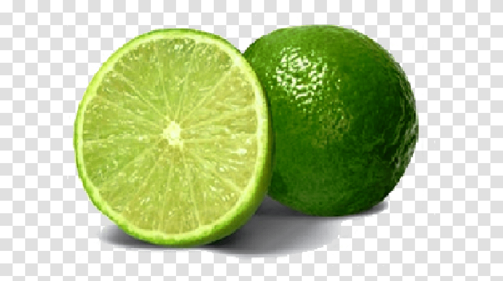 Qual O Limao Galego, Lime, Citrus Fruit, Plant, Food Transparent Png