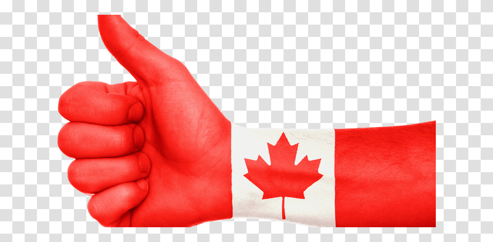 Qualit De Vie Au Canada, Leaf, Plant, Hand, Flag Transparent Png