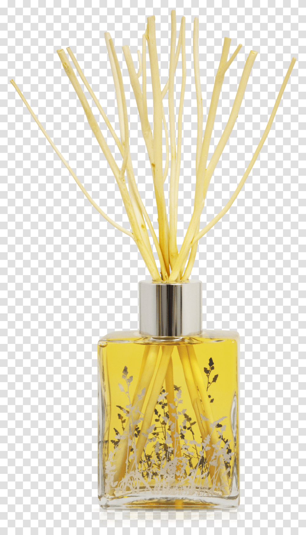 Qualitas Alcohol Free Natural Reed Diffuser Made In, Plant, Bottle, Flower, Blossom Transparent Png