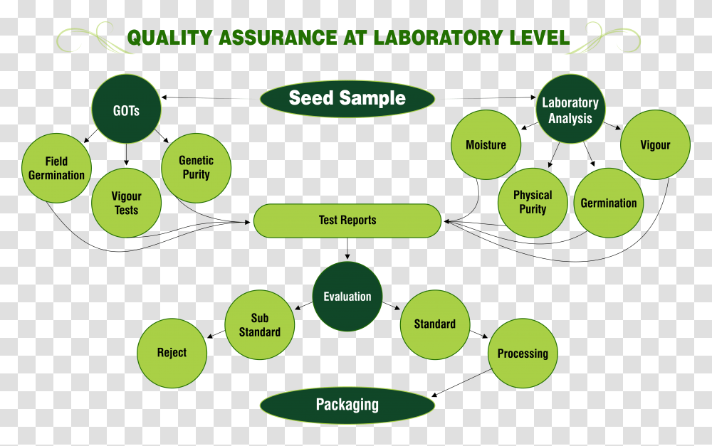 Quality Assurance At Laboratory Level Laboratory Different Quality Assurance, Diagram, Vegetation, Plant, Plot Transparent Png